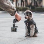 PGYTECH CapLock MantisPod Power Grip (GoPro Edition) | Tripod & El Grip & Güç Kaynağı