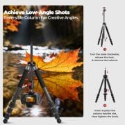 Freewell The Real Multi Tripod 5 in 1