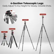 Freewell The Real Multi Tripod 5 in 1