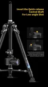 YC Onion Pineta & CB7 Cedar Fluid Head Karbon Fiber Tripod Kit